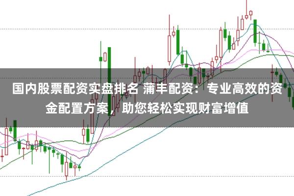 国内股票配资实盘排名 蒲丰配资：专业高效的资金配置方案，助您轻松实现财富增值
