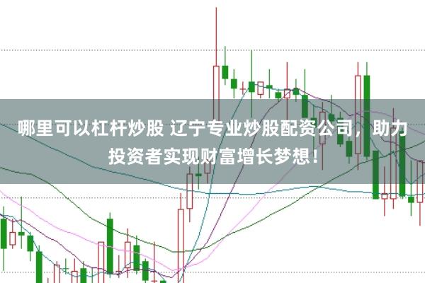 哪里可以杠杆炒股 辽宁专业炒股配资公司，助力投资者实现财富增长梦想！