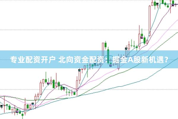 专业配资开户 北向资金配资：掘金A股新机遇？