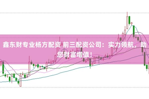 鑫东财专业杨方配资 前三配资公司：实力领航，助您财富增值！