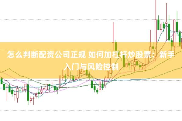 怎么判断配资公司正规 如何加杠杆炒股票：新手入门与风险控制