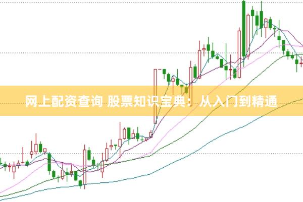 网上配资查询 股票知识宝典:从入门到精通