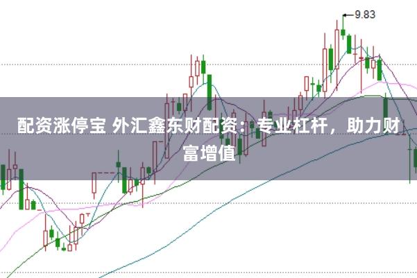 配资涨停宝 外汇鑫东财配资：专业杠杆，助力财富增值