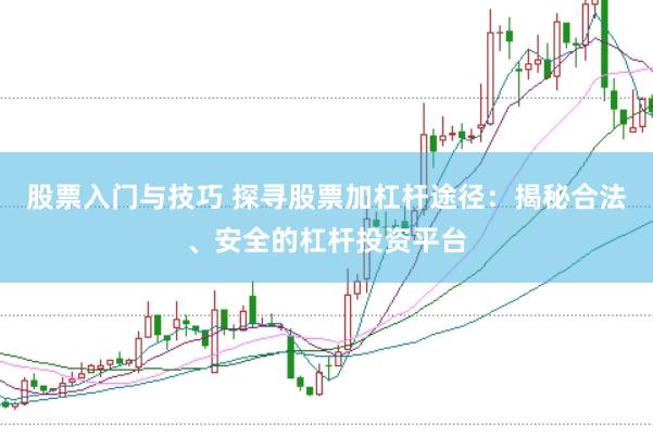 股票入门与技巧 探寻股票加杠杆途径：揭秘合法、安全的杠杆投资平台